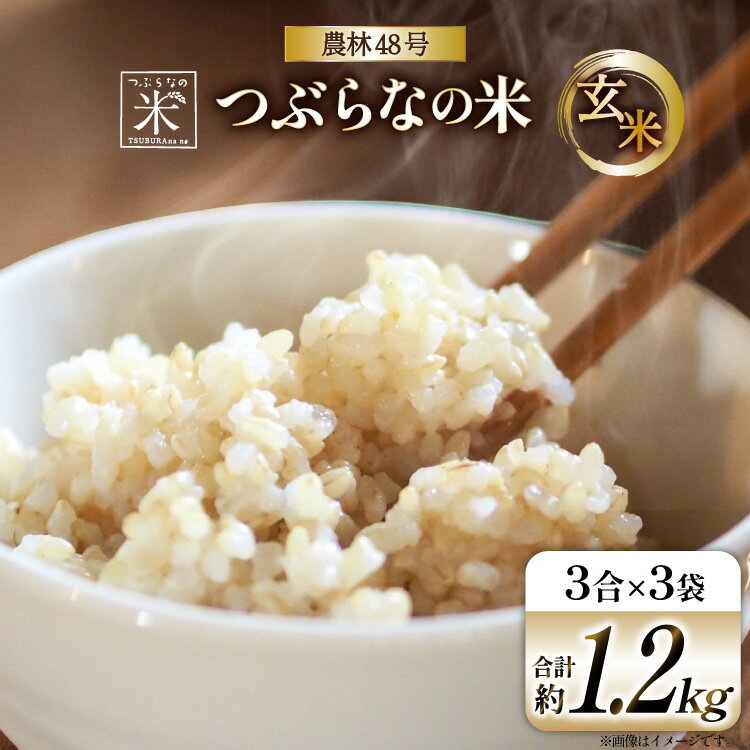 【ふるさと納税】米 つぶらなの米 農林48号 玄米 3合×3袋 [つぶらな 山梨県 韮崎市 20741897] 玄米 げんまい お米 こめ コメ おこめ ご飯 ごはん お試し 少量 小分け 山梨県産