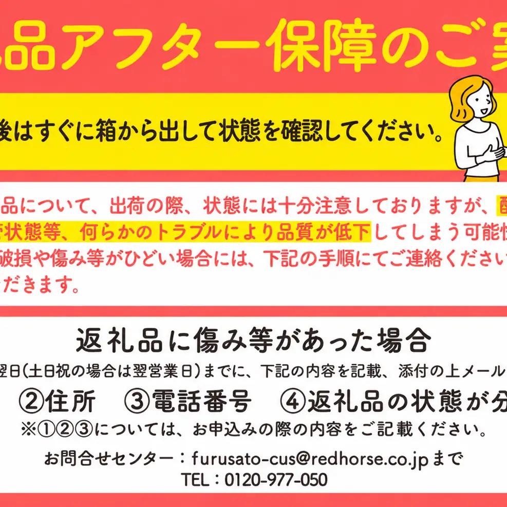 【2026年/令和8年度発送分！】信州のりんご 秋映 約3kg りんご リンゴ 林檎 長野 フルーツ 果物 信州産 長野県産 特産 産地直送 おすすめ