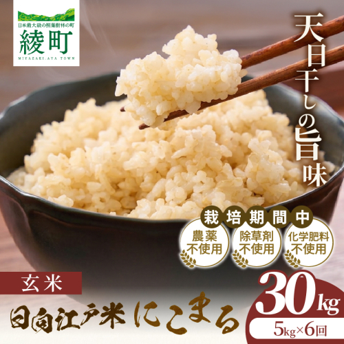 【6か月定期便】天日干しが引き出す お米の旨味 日向江戸米（にこまる）【玄米】合計30kg 国産米 ブランド米 農薬不使用 化学肥料不使用 無農薬 ごはん ご飯 おにぎり お弁当 冷めても美味しい もっちり食感 和食 主食 人気 おすすめ 宮崎県 綾町 送料無料_A0038-036