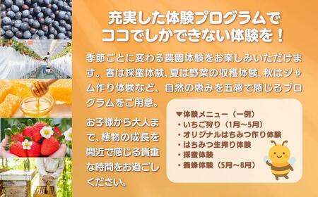 ［山田みつばち農園］体験割引チケット（2000円分）049-a001