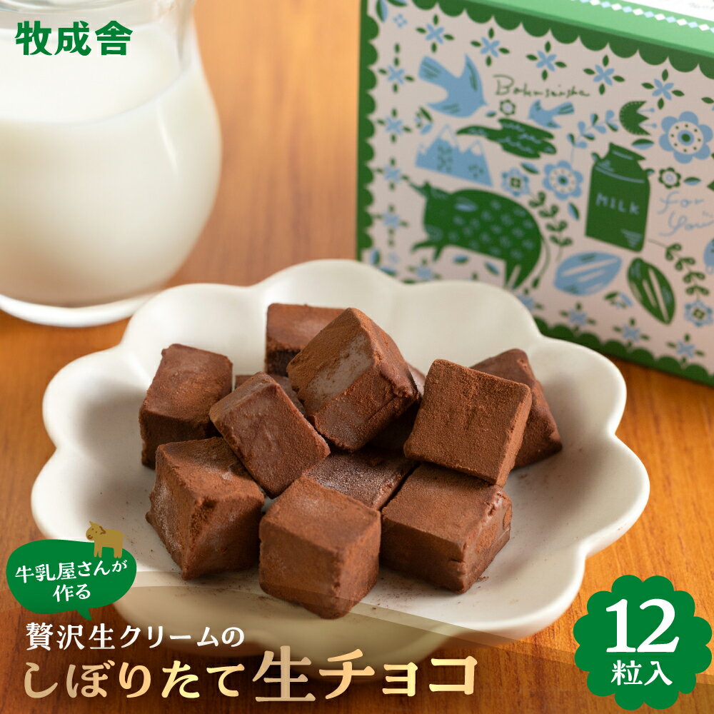 【ふるさと納税】【期間限定】生チョコレート 1箱 (1箱12粒入り) 2箱 生クリーム使用 チョコレート スイーツ 冷凍 洋菓子 ギフト 贈答 贈り物 プレゼント 牧成舎 ホワイトデー バレンタイン [Q2332x] 《hida0307》