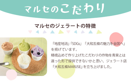マルセのジェラート セット 80ml ×6（ 6種 ）| お菓子 おかし オカシ アイス あいす ジェラート ミルク チョコレート 奈良漬け 梅 番茶 桃 柿 奈良県 五條市