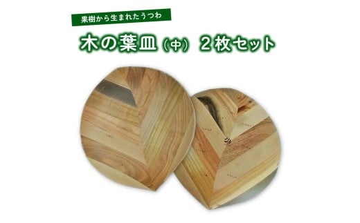 【果樹から生まれたくだものうつわ】木の葉皿（中）２枚セット　0058-2201