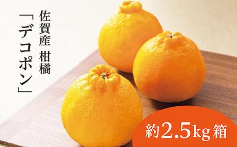 【2026年2月から順次発送】 佐賀産 柑橘 みかん 『 デコポン』約 2.5kg 箱 かんきつ 不知火 しらぬい 糖度13度以上 _b-378