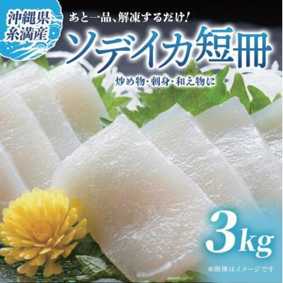 ふるさと納税 糸満市 ソデイカ　短冊　3kg