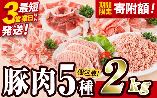 ＼3営業日以内発送／ 豚肉 バラエティーパック (合計2kg) 豚バラ しゃぶしゃぶ 鍋 とんかつ ロース 小分け 個包装 豚こま 小間切れ スライス ミンチ 5種 セット 詰め合わせ 冷凍 食べ比べ 国産 大分県 佐伯市【BD320】【西日本畜産】