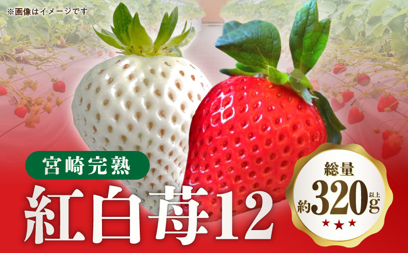 
宮崎完熟紅白苺１２_M279-005
