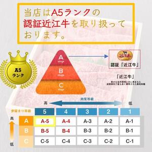 【近江牛A5ランク】ステーキ 高級部位食べ比べセット サーロイン(200g)×ヒレ(120g) 各2枚