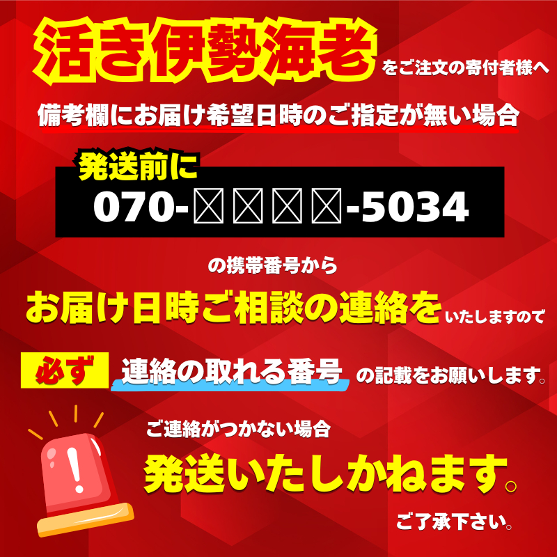 【伊勢海老】 活き伊勢海老 600g以上 600g以上