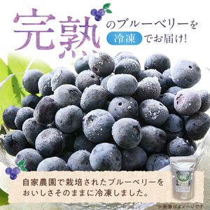 福岡県産 冷凍ブルーベリー 500g_ブルーベリー 冷凍 500g 1パック 福岡県産 果物 フルーツ 冷凍フルーツ デザート おやつ 冷凍食品 食品  お取り寄せ お取り寄せフルーツ 美味しい 九州