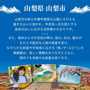 ピオーネ 約550g×3房 山梨市産 「ピオーネ(種なし)」 詰め合わせ【配送不可地域：離島・沖縄県】【1117301】