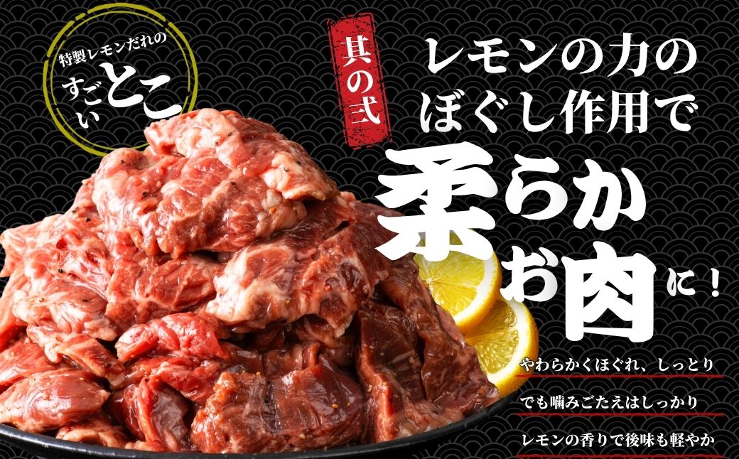 【瀬戸内レモン塩だれ】牛ハラミ 600g(300g×2パック) 尾野精肉店の牛ハラミ【肉 訳あり 小分け 真空パック 冷凍 牛肉 ハラミ 味付き 焼肉 BBQ 広島県 竹原市】