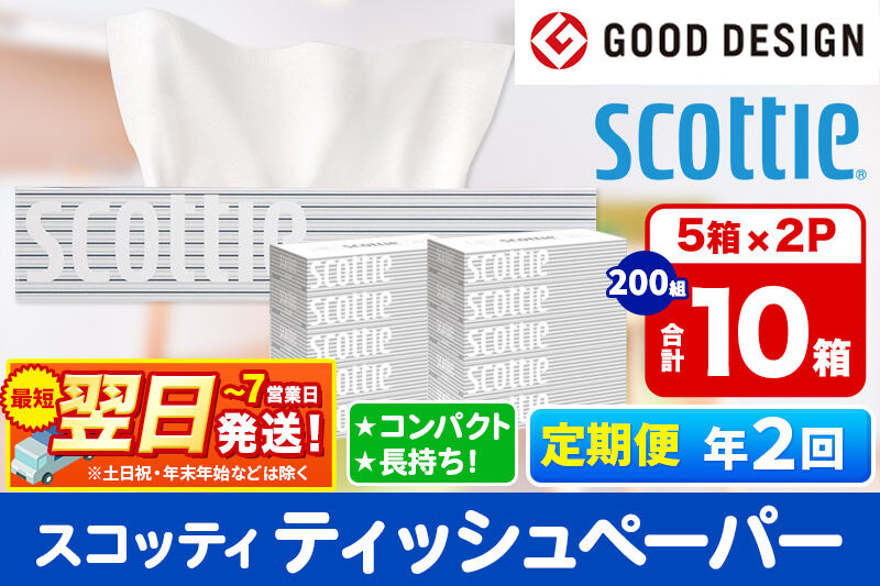 《6ヶ月ごとに2回お届け》定期便 ティッシュペーパー スコッティ 200組 10箱(5箱×2パック) ティッシュ 秋田市オリジナル 最短翌日発送 [ティッシュ ボックスティッシュ スコッティ(SCOT