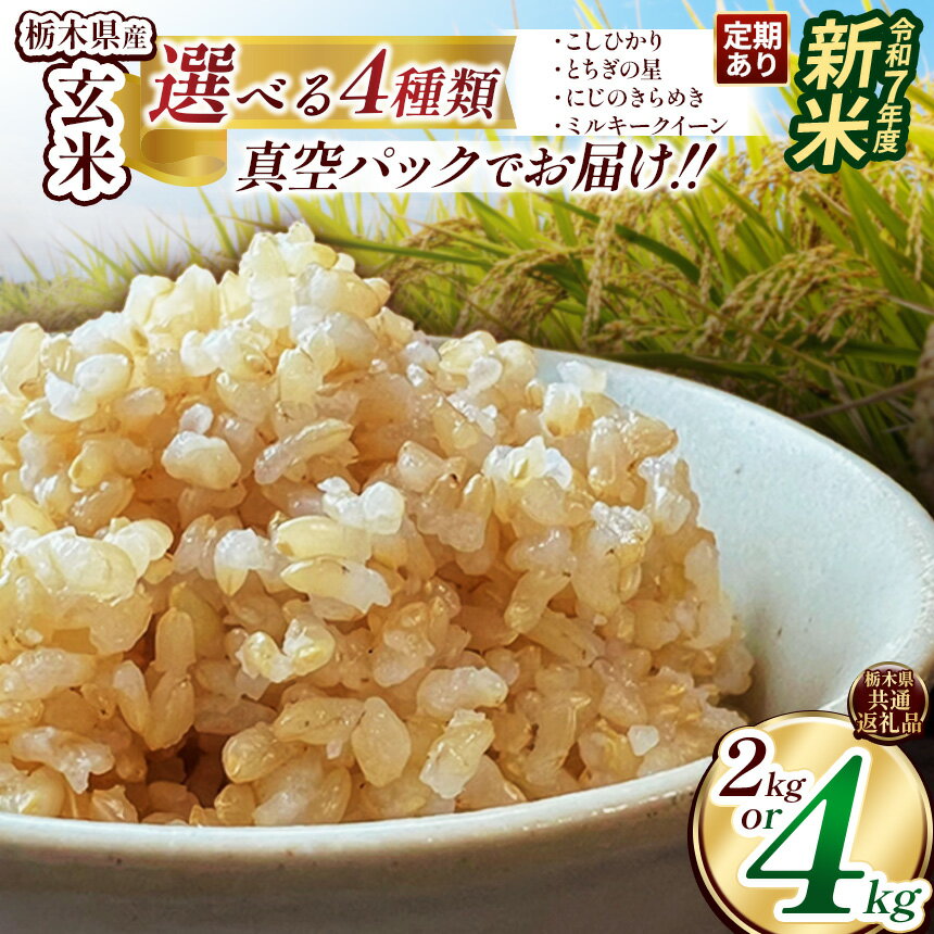 【ふるさと納税】米 お米 新米 こめ コメ こしひかり コシヒカリ とちぎの星 特A にじのきらめき ミルキークイーン 玄米 不揃い 定期便 | 真空パック 白米 精米 栃木米 令和7年度米 2025年度新米 ブランド米 栃木県共通返礼品 送料無料 栃木県 下野市