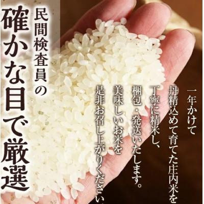ふるさと納税 酒田市 庄内産　コシヒカリ　精米　10キロ |  | 03