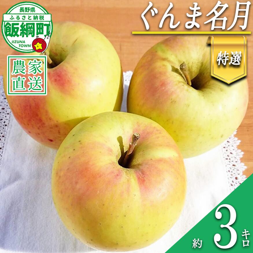 【ふるさと納税】 りんご ぐんま名月 特選 3kg やまじゅうファーム 沖縄県への配送不可 令和8年度収穫分 信州の環境にやさしい農産物 減農薬栽培 長野県 飯綱町 【 信州 果物 フルーツ リンゴ 林檎 長野 16000円 】発送時期：2026年11月下旬〜2026年12月上旬{***}