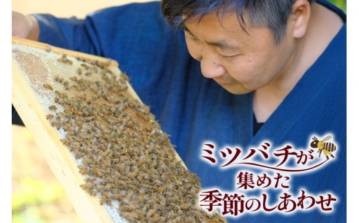 季節で移ろう田舎はちみつ7種ギフトセット 結蜜 Musubi-R7 茨城県共通返礼品 五霞町生ハチミツ 非加熱 茨城県産