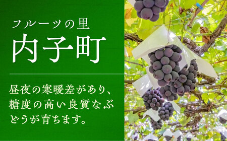 白ワイン (ロザリオ) 約720ml 2本 BKAG013 ワイン