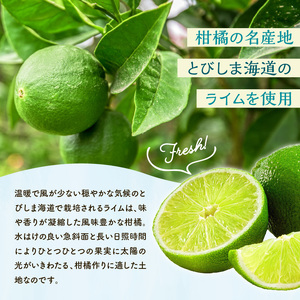 クラフトシロップライムミント 2本 果汁 シロップ ライム 割材 