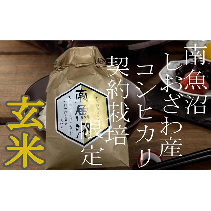 【令和7年産】【定期便10Kg×3ヶ月】●玄米● 生産者限定 南魚沼しおざわ産コシヒカリ【2025年10月上旬より順次発送予定】