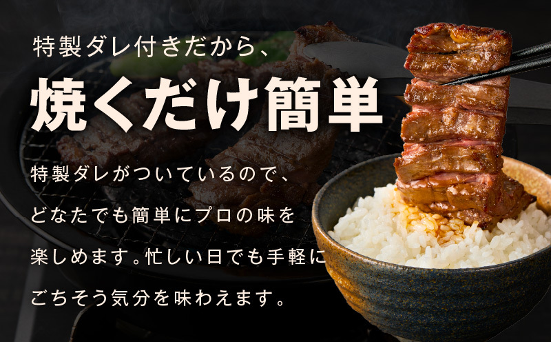 赤身カルビ ステーキ 2kg 焼肉用 500g×4P【氷温熟成×特製ダレ 牛肉 バラ 切り落とし 訳あり サイズ不揃い】 mrz0385_イメージ5