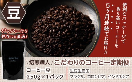 5回お届け!焙煎職人こだわりのコーヒー定期便【豆】250g 小分けパック(ジッパー・バルブ付) ※中深煎り※_TLA5-3302_(都城市) コーヒー豆 250g×1パック 少量パック ジッパー・バル