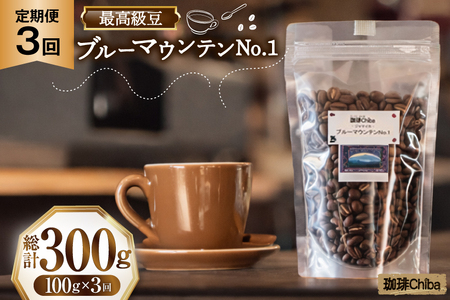 【3回定期便】 コーヒー豆 ブルーマウンテン 100g [珈琲Chiba 福岡県 筑紫野市 21761428]