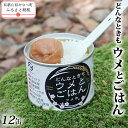 【ふるさと納税】ウメ缶　どんなときもウメとごはん　12缶入り