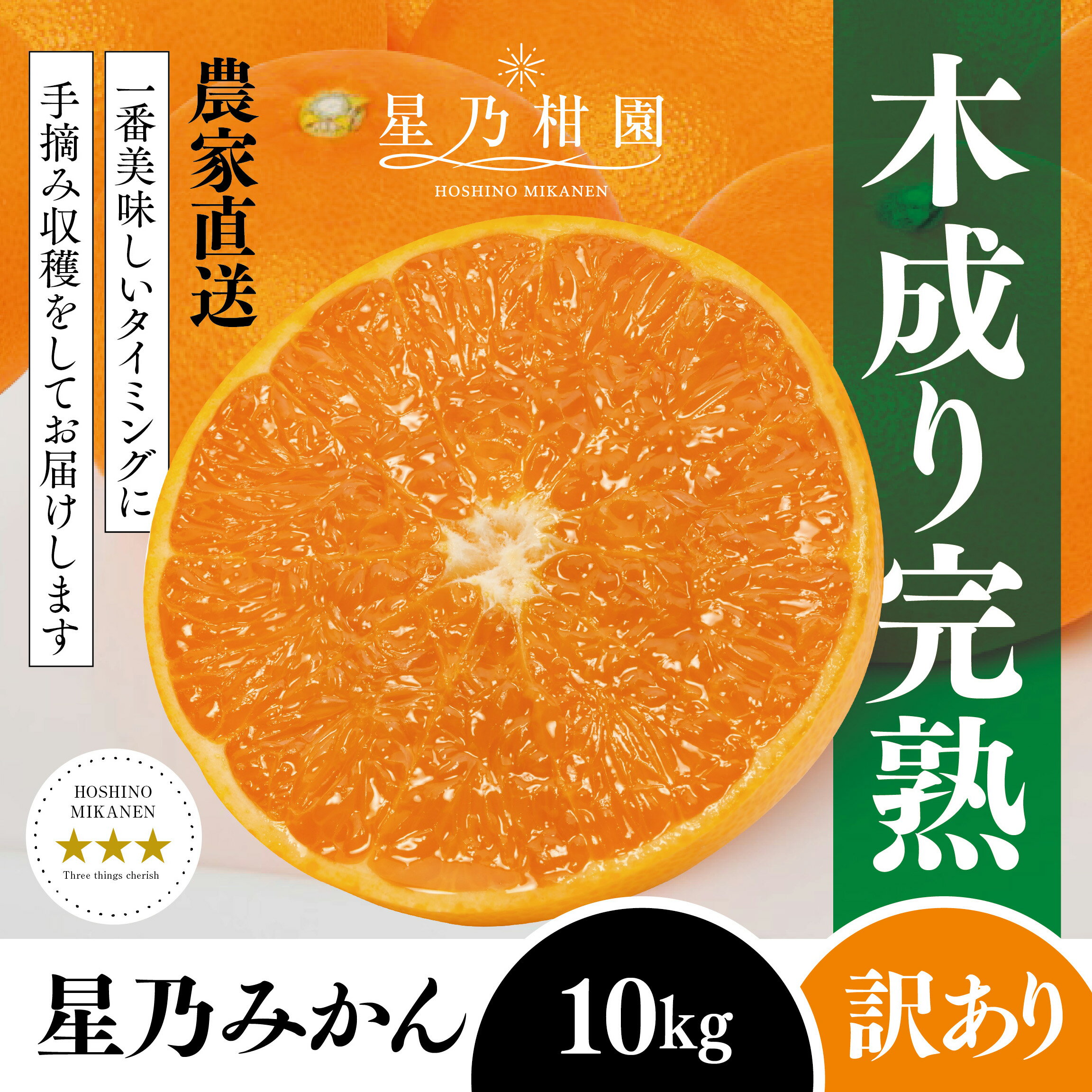 【ふるさと納税】【訳あり】星乃みかん園の星乃みかん(10kg)【E45-64】_ 蜜柑 ミカン 温州みかん わけあり 送料無料 木成り 完熟 厳選 農家直送 愛媛みかん 愛媛 国産 箱 フルーツ 果物 くだもの 旬 不揃い 産地直送 【1339361】