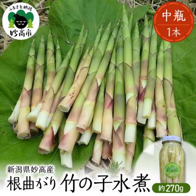 ふるさと納税 妙高市 妙高産根曲がり竹の子水煮【中瓶】 270g