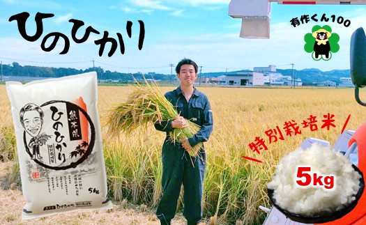 
                  熊本玉名産 特別栽培米 ひのひかり 5kg | 米 こめ お米 おこめ 白米 精米 栽培 ヒノヒカリ 熊本県 玉名市
                