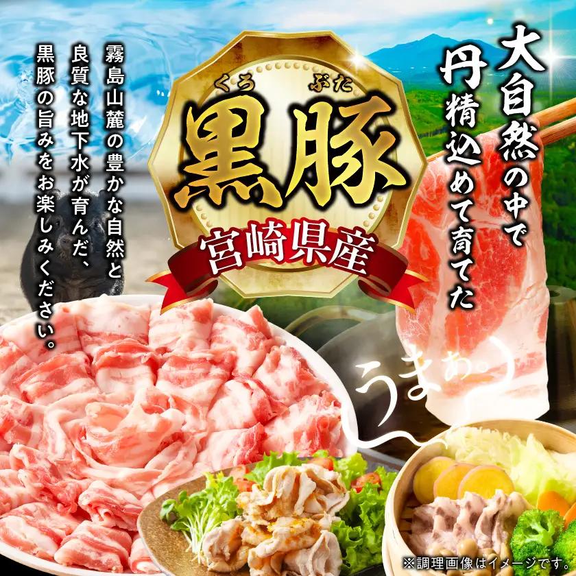 宮崎県産黒豚しゃぶしゃぶ&スライス1.2kgセット〔MJ-M6-004-1200g〕_(都城市)