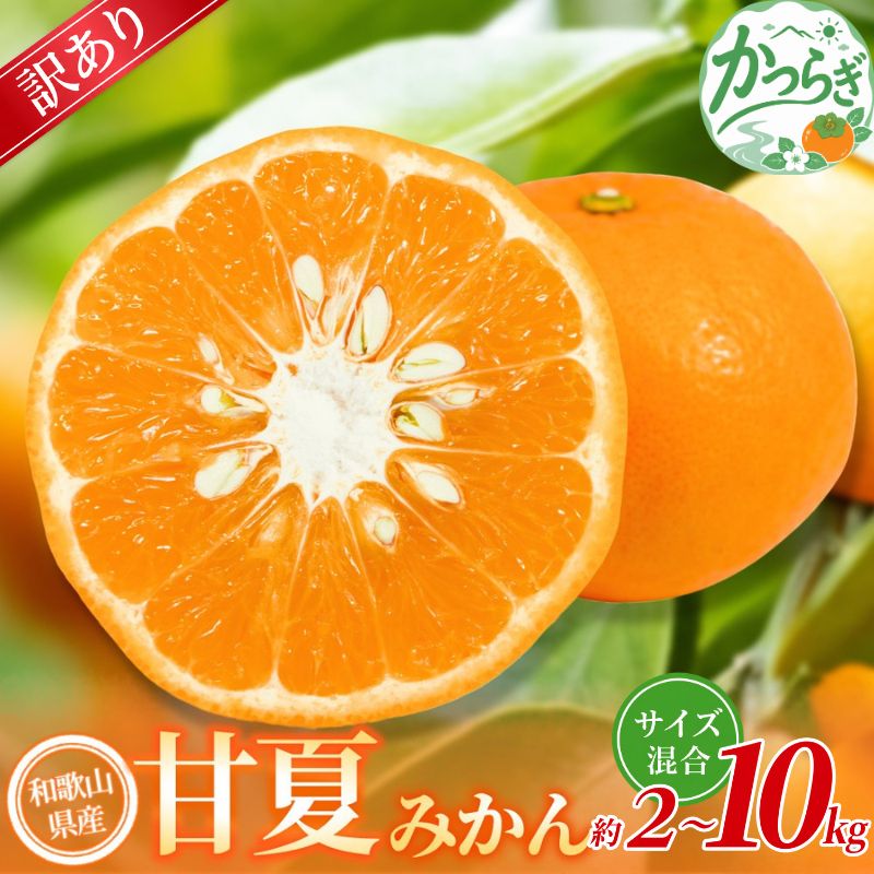 【ふるさと納税】【訳あり】 森本農園の手選別 甘夏みかん 約2kg～約10kg 和歌山県産 サイズ混合 【北海道・沖縄・離島配送不可】【2027年4月上旬～5月中旬頃に順次発送】