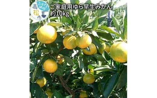 
ご家庭用 ゆら早生 みかん 約10kg【2024-9月下旬～2024-11月上旬配送】
