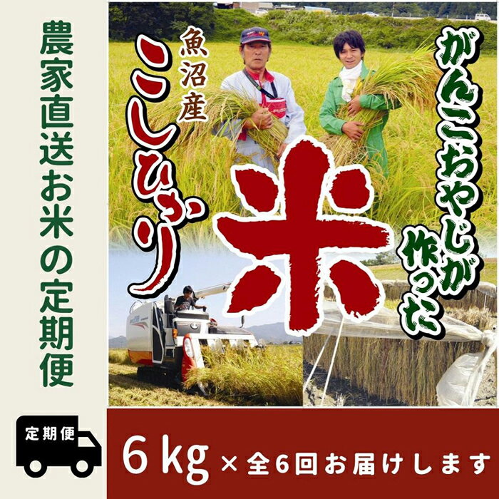 【ふるさと納税】【令和7年産】6か月定期便　がんこおやじが作った南魚沼産コシヒカリ白米6kg（3kg×2袋） | お米 こめ 白米 コシヒカリ 食品 人気 おすすめ 送料無料 魚沼 南魚沼 南魚沼市 新潟県産 新潟県 精米 産地直送