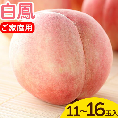 【ふるさと納税】＜先行予約＞和歌山県産 白鳳 桃 11〜16玉入り 訳あり ご家庭用 株式会社松源《2025年6月下旬-8月中旬より発送予定》和歌山県 日高町 果物 フルーツ 桃 もも 送料無料