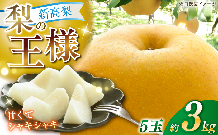 【先行予約】 新高梨 約3kg（4～5玉） 〈2025年9月20日～10月末発送〉 / 高知 針木 新高梨 梨 和梨 果物 フルーツ デザート 【川渕果樹園】 [ATHX002]