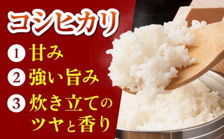 令和7年産 ななしま家 コシヒカリ 5kg / 白米 特別栽培 白米 / 佐賀県 / 有限会社七島農産 [41AHAC001]