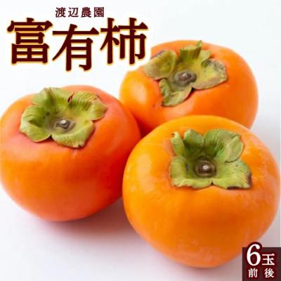 ふるさと納税 うきは市 【2026年産先行受付】富有柿 6玉前後 U102-2KA-FY02