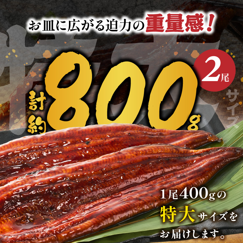 特大うなぎ蒲焼約400g×2尾_特大 うなぎ 蒲焼 無頭 約 400g 2尾 秘伝のタレ グルメ 食品 加工品 魚 魚介類 おかず 惣菜 ご飯のお供 酒の肴 うな丼 ひつまぶし お茶漬け 鰻巻き 冷凍