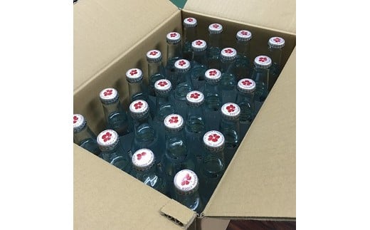 指宿温泉サイダー24本(湯砂菜企画/023-1268) いぶすき 鹿児島 産地直送 お取り寄せ ご当地 ご当地グルメ 食品 グルメ 贈答 ギフト 食べ物 プレゼント サイダー ジュース