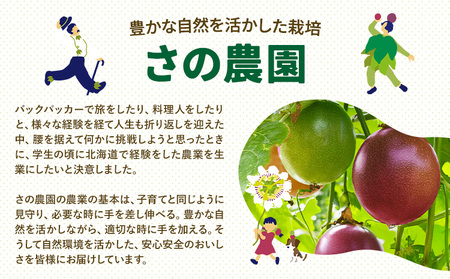 さの農園のアスパラガス 約 1kg 約 30本 M-2L