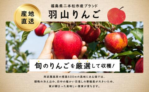 《2025年9月下旬以降発送》羽山りんご品種おまかせ(早生・中早生)5Kg【羽山果樹組合】