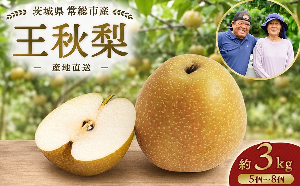 
                  【先行予約】小林果樹園の梨 王秋 5～8玉 約3kg｜おうしゅう 朝どり みずみずしい 梨 なし ナシ フルーツ 果物 常総市
                