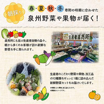 ふるさと納税 泉佐野市 【毎月定期便】新鮮 野菜セット 10種類 詰め合わせ 全4回 099Z185 |  | 01