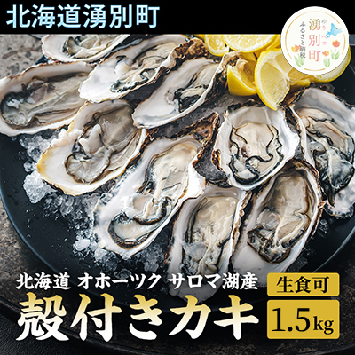 先行予約 北海道 オホーツク サロマ湖産 殻付き カキ 生食可 1.5kg 牡蠣職人厳選 牡蠣 国産 貝付き 魚貝類 生牡蠣 ノロウイルス検査実施 海のミルク 海鮮 海の幸 つまみ 晩酌 お酒のあて 