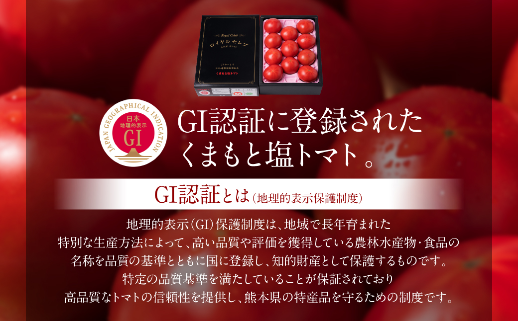【先行予約】 くまもと塩トマト「ロイヤルセレブ」 約1kg  トマト 野菜 熊本県産 新鮮 サラダ やさい とまと 八代市産 九州 【2026年1月上旬より順次発送】