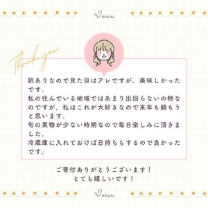 【10営業日以内発送】 【訳あり】 河内晩柑 9kg + 傷み保証 約1kg 計10kg 愛南ゴールド みかん フルーツ 愛媛 愛南 吉本農園