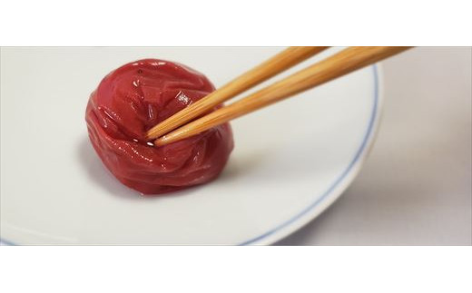 唐津七山 南高梅2種食べ比べ 500g×2(合計1kg)「irodoriからつ四季の返礼品・はちみつ味・田舎しそ味」山間から湧き出る澄んだ水をふんだんに含んだ土壌で栽培