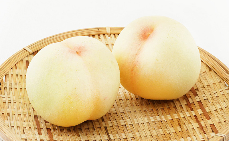 桃 ぶどう 2025年 先行予約 果物 詰合せ 白桃 2玉（1玉220g以上）シャインマスカット 晴王 2房（1房480g以上）化粧箱入り 岡山県産 国産 フルーツ ギフト フルーツ詰め合わせ 贈答品